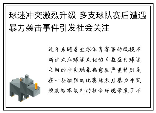 球迷冲突激烈升级 多支球队赛后遭遇暴力袭击事件引发社会关注