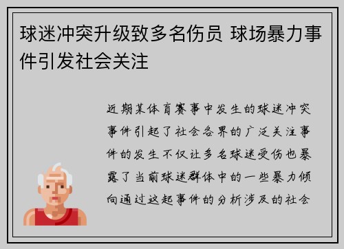 球迷冲突升级致多名伤员 球场暴力事件引发社会关注